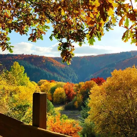 Am Waldsee Direkt Am Badesee Mit Seeblick Fuer Bis Zu 14 Personen Traumferienhaeuser-eifel شقة *