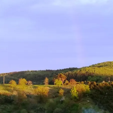 شقة Am Waldsee Direkt Am Badesee Mit Seeblick Fuer Bis Zu 14 Personen Traumferienhaeuser-eifel Rieden (Mayen-Koblenz)