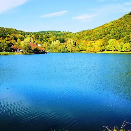 شقة Am Waldsee Direkt Am Badesee Mit Seeblick Fuer Bis Zu 14 Personen Traumferienhaeuser-eifel