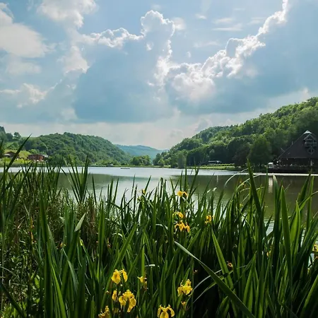 Am Waldsee Direkt Am Badesee Mit Seeblick Fuer Bis Zu 14 Personen Traumferienhaeuser-eifel * Rieden (Mayen-Koblenz)